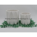 Fashion Design Ceramic Flower Vase Home Decoration